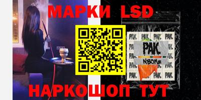 амф Можга