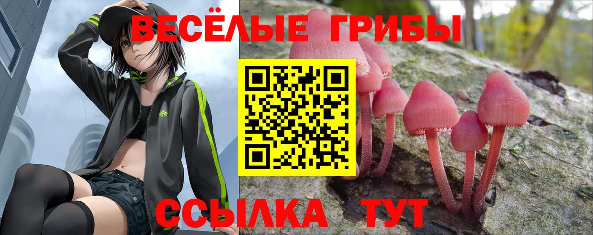Долгопрудный  Псилоцибиновые грибы ЛСД  Вход с VPN 
